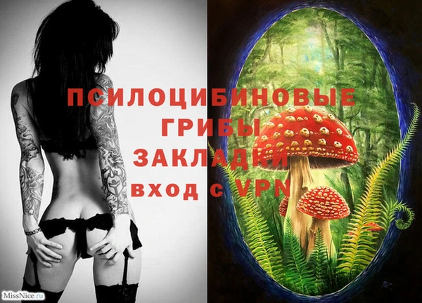a pvp Алексеевка